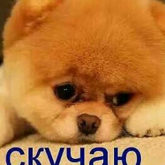 Малика Хамидова