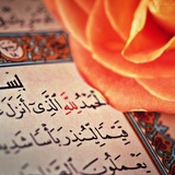 Elnaz Makhmudova, 19.05