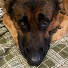 Надежда Черненкова, 02.02, Санкт-Петербург