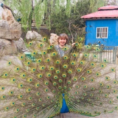 Елена Лекомцева, 25.11, Агадырь