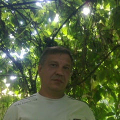 Дмитрий Шурыгин, Владимир