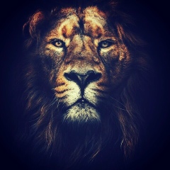 Азирет Саматов, 20.05, Алматы