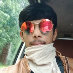 Jaimin Desi