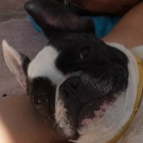 Трофим Щербина, 22.11.1988, Одесса