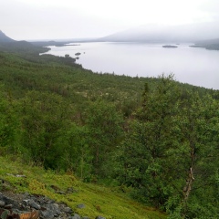 Александр Князев, 17.08