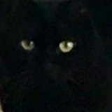 Даша Ряснова, 23.05.1994, Астана