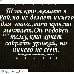 Иса Жолдасбек, Шымкент