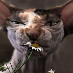 Кирилл Ададуров, 23.08