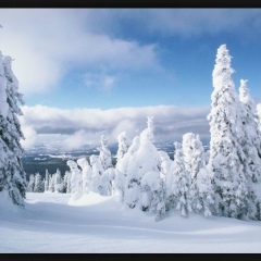 Сергей Кондрашов, Калининград