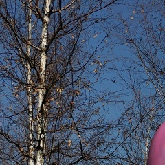 Данила Душенок, 18.04.1985, Москва