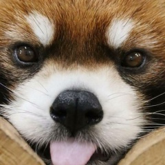 Юрий Кабаков, 12.10, Самара