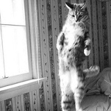 Мария Евсеева, 24.07, Санкт-Петербург