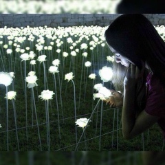 Зарина Егинбаева, 26.08, Seoul