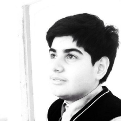 Farhad Nasibov