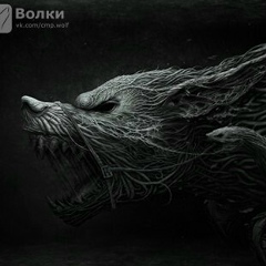 Борис Даниленко, 04.05.1979, Великий Новгород