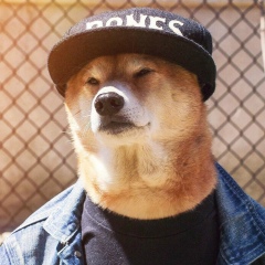 Жоомарт Ураимов, 30.09, Бишкек