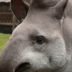Серж Серж, 30.11, Санкт-Петербург