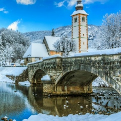 Евгений Залеснымборский, Санкт-Петербург
