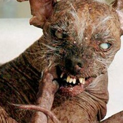 Есения Лавинская, 18.12.1993, Екатеринбург