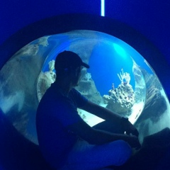 Дмитрий Юркив, 09.10.1987, Новосибирск