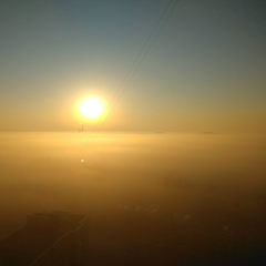 Сандра Болл, 01.01