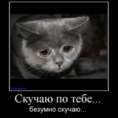 Фарида Абилкаир, 09.03.1993