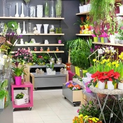 Heaven Heart, Erbil