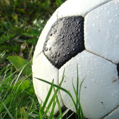 Yan Firefly, 13.07, Москва