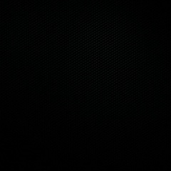 Светлана Соколова