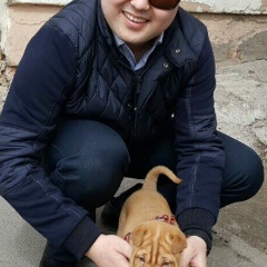 Олжас Ибраев, 13.06, Chicago