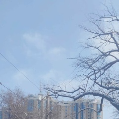 Kano Kanov, Алматы