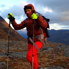 Алексей Tollgren