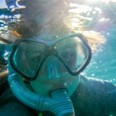 Светыч   Теперкина, 28.02.1991, Москва