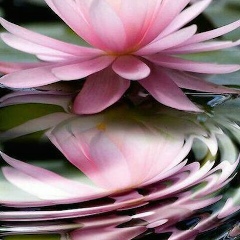 Асель Муслимова, 28.03.1981, Алматы