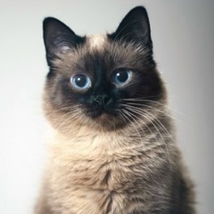 Валера Моторная, 08.12