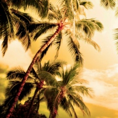 Анюта Интриго, Москва