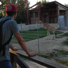Артем Дорохов, 12.12, Пермь