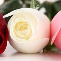 Жанна Молдашева, 24.02.1982