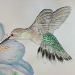 Юлия Сладкомедова, 09.11