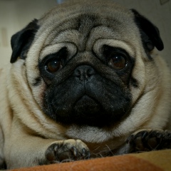 Юрий Бездетных, 20.08.1967, Архангельск