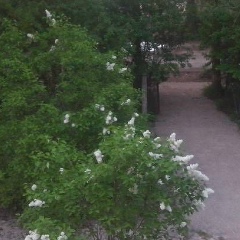 Андрей Замарин, 05.04.1991, Анисимово