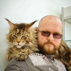 Дмитрий Богданов, 03.02.1993, Луга