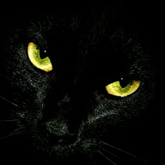 Анастасия Александрова, 10.02, Иркутск