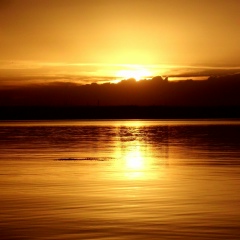 Ирина Катионова, 27.09.1979, Алматы