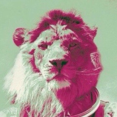 Санжар Жаксыбеков, 02.08, Караганда