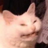 Ирина Юн, 29.07