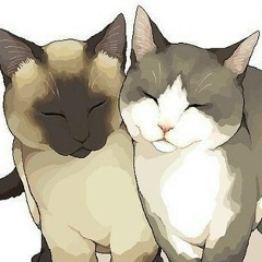 Рада Стешенко, 08.02.1993, Москва