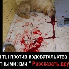 Саша Цаплюк, 26.01, Ужгород