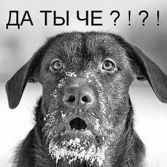 Александр Суеткин, 15.06.1985, Череповец
