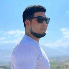 Polot Damir